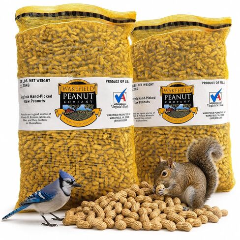 Wakefield Premium Virginia Peanuts In-Shell for Squirrels, Blue Jays & Wildlife - 6 LB Bag - Hand-Picked, Raw, Unsalted, High Protein Wild Bird & Animal Feed in Kuwait
