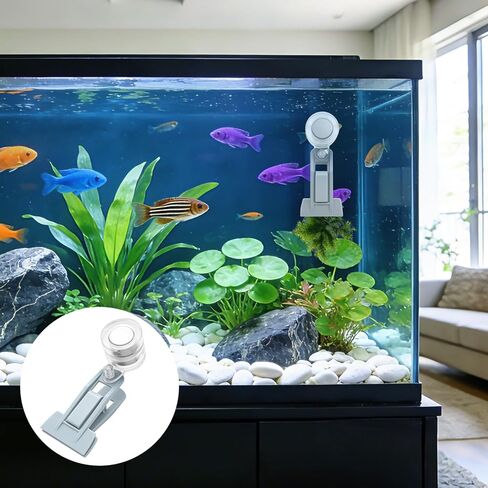 Magnetic Seaweed Feeder Clip, Automatic Fish Feeder with Algae Magnet Clip, Fish Tank Accessories for Fish and Aquatic Pets, Automatic Fish Feeder. in Kuwait