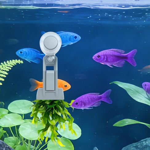 Magnetic Seaweed Feeder Clip, Automatic Fish Feeder with Algae Magnet Clip, Fish Tank Accessories for Fish and Aquatic Pets, Automatic Fish Feeder. in Kuwait
