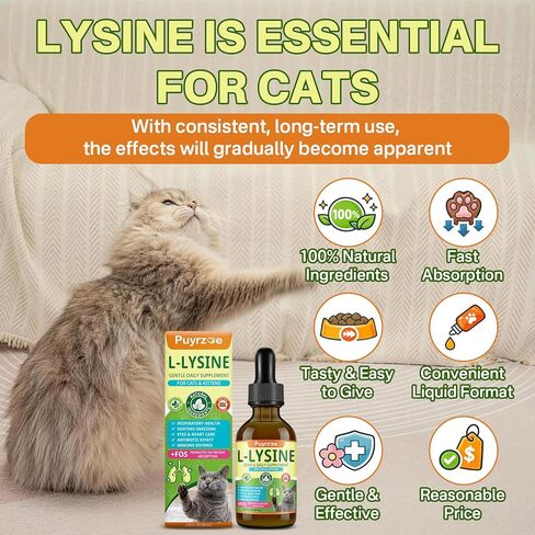 Puyrzoe L-Lysine لقطرات القطط - العطس وسيلان الأنف وتخفيف العيون الدامعة، مكمل ليسين سائل للقطط لدعم المناعة والجهاز التنفسي مع التورين والفيتامينات، لتعزيز الطاقة والشهية، 60 مل in Kuwait