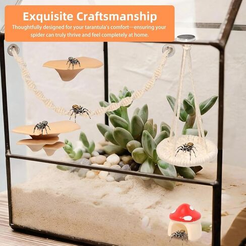 8 Pcs Jumping Spider Hide Enclosure Habitat, Spiders Hideout Climbing Rope Bridge Swings & Web, Mushroom Shelf, Jump Platform with Magnets for Pet Spider Habitat Accessories in Kuwait
