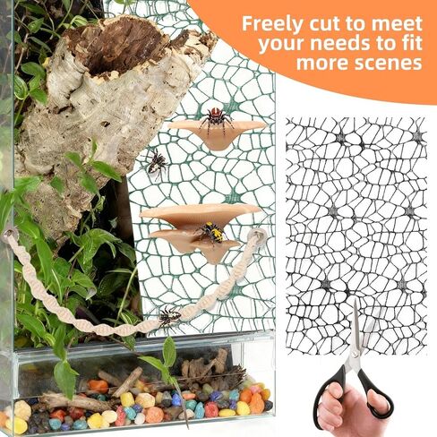 8 Pcs Jumping Spider Hide Enclosure Habitat, Spiders Hideout Climbing Rope Bridge Swings & Web, Mushroom Shelf, Jump Platform with Magnets for Pet Spider Habitat Accessories in Kuwait
