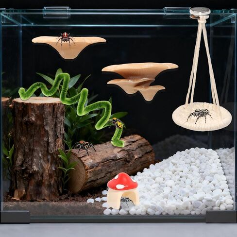 8 Pcs Jumping Spider Hide Enclosure Habitat, Spiders Hideout Climbing Rope Bridge Swings & Web, Mushroom Shelf, Jump Platform with Magnets for Pet Spider Habitat Accessories in Kuwait