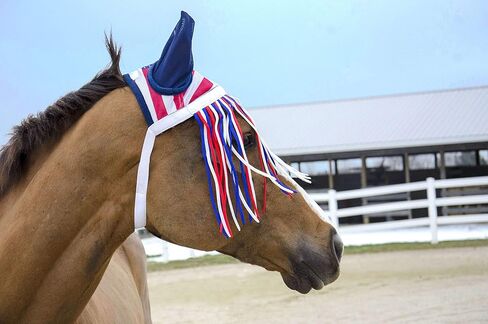 غطاء محرك السيارة ذو هامش شبكي عاكس للضوء من Derby Originals مع ضمان لمدة عام واحد in Kuwait