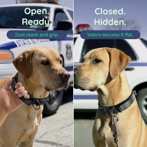 Premium Tactical Dog Collar - Adjustable Military Heavy Duty Dog Collar for Medium Large Dogs - Durable Metal Buckle Dog Collar with Leather Control Handle and Soft Comfortable Padding in Kuwait