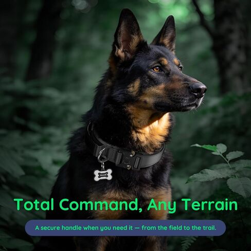 Premium Tactical Dog Collar - Adjustable Military Heavy Duty Dog Collar for Medium Large Dogs - Durable Metal Buckle Dog Collar with Leather Control Handle and Soft Comfortable Padding in Kuwait