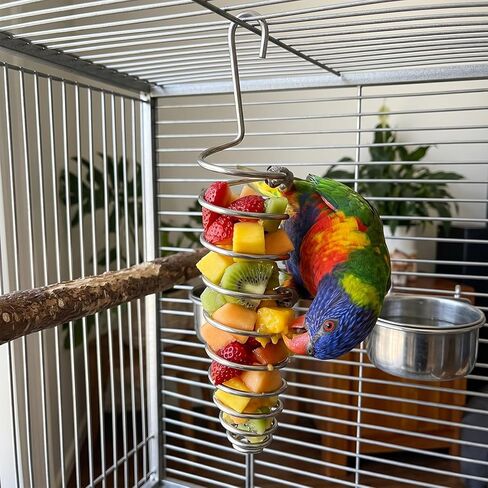 2 Pcs Millet Holder for Bird Cage, Stainless Steel Bird Foraging Toy, Hanging Fruit & Vegetable Feeder for Parrot, Cockatiel, Conure & Lovebird (5.98 x 1.18 Inch) in Kuwait