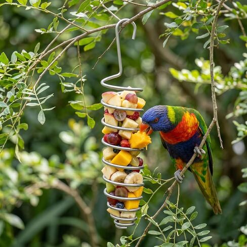 2 Pcs Millet Holder for Bird Cage, Stainless Steel Bird Foraging Toy, Hanging Fruit & Vegetable Feeder for Parrot, Cockatiel, Conure & Lovebird (5.98 x 1.18 Inch) in Kuwait