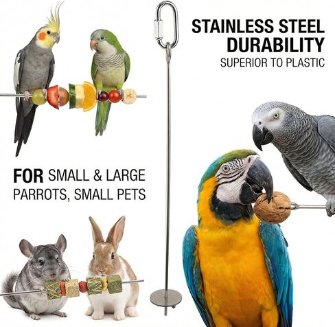 3 Pcs Parrot Fruit Vegetable Skewer, Bird Cage Food Holder with Hook, 1 Pcs Bird Perch Swings, Hanging Bird Cage Food Holder Stainless Steel, Easy CleanBird Treats Skewer, Stainless Steel Stick Feeder in Kuwait