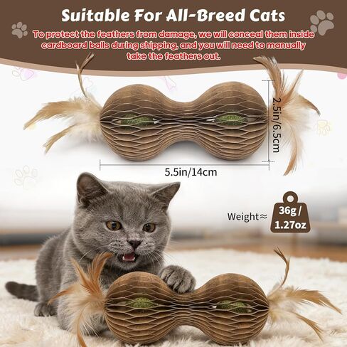 Catnip Ball Toys for Indoor Cats Dumbbell-Shaped Cardboard Toy with 2 Catnip Balls & Feather Ends for Interactive and Independent Play, Exercise & Stress Relief Cat Toys for Kitten All Breeds and Ages in Kuwait