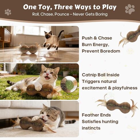 Catnip Ball Toys for Indoor Cats Dumbbell-Shaped Cardboard Toy with 2 Catnip Balls & Feather Ends for Interactive and Independent Play, Exercise & Stress Relief Cat Toys for Kitten All Breeds and Ages in Kuwait