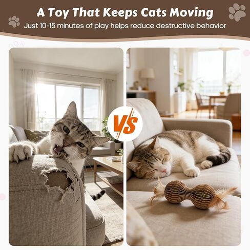 Catnip Ball Toys for Indoor Cats Dumbbell-Shaped Cardboard Toy with 2 Catnip Balls & Feather Ends for Interactive and Independent Play, Exercise & Stress Relief Cat Toys for Kitten All Breeds and Ages in Kuwait
