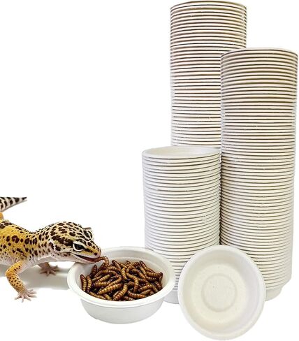 Tfwadmx 100Pcs Paper Gecko Feeding Cups,Samll 1oz Crested Gecko Food Dish,Reptiles Food and Water Bowls Feeder Ledge Accessories Cups for Lizards,Spiders,Frogs in Kuwait