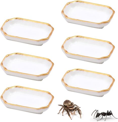6 Pcs Ant Mini Feeding Dish Cricket Plastic Eating Basin for Ant Scorpion Cricket Snail Crab Manti Millipede Small Insects in Kuwait
