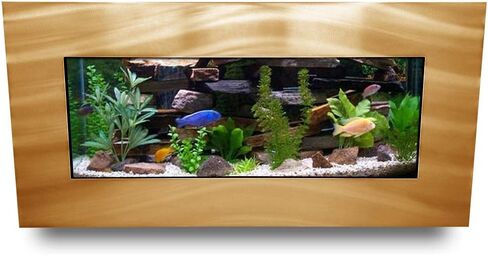 Aussie Aquariums AA-Skyline-BGOLD 2.0 حوض سمك مثبت على الحائط باللون الذهبي المصقول in Kuwait