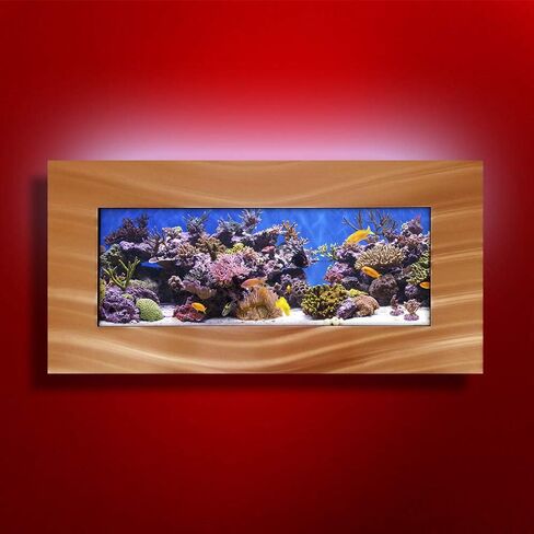Aussie Aquariums AA-Skyline-BGOLD 2.0 حوض سمك مثبت على الحائط باللون الذهبي المصقول in Kuwait