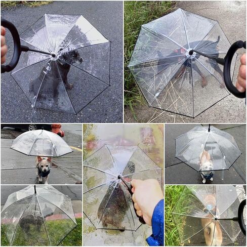 NAMSAN Dog Umbrella for Small Dogs, Clear Dog Umbrella with Adjustable Leash for Small Dogs Rainy Snowy Day Walking, Outdoor Puppy Body Protective, Self-Assembly in Kuwait
