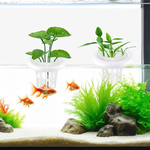 4 PCS Floating Aquarium Plant Holder, Plastic Fish Tank Basket with Foam Rings, Aquatic Pot for Fish Tank Aquaponic Plant Cultivation and Aquascape Decorations in Kuwait