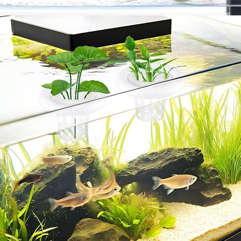 4 PCS Floating Aquarium Plant Holder, Plastic Fish Tank Basket with Foam Rings, Aquatic Pot for Fish Tank Aquaponic Plant Cultivation and Aquascape Decorations in Kuwait