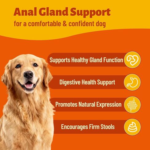 7.76 oz Anal Gland Bites for Dogs - Anal Gland Health & Dog Digestive Support - with Pumpkin Seed, Psyllium Husk & Probiotic for Dogs - Urinary Supplement - Pet Vitamins and Supplements in Kuwait