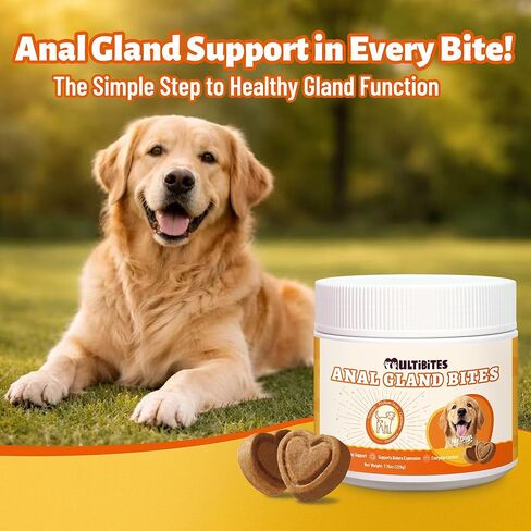 7.76 oz Anal Gland Bites for Dogs - Anal Gland Health & Dog Digestive Support - with Pumpkin Seed, Psyllium Husk & Probiotic for Dogs - Urinary Supplement - Pet Vitamins and Supplements in Kuwait