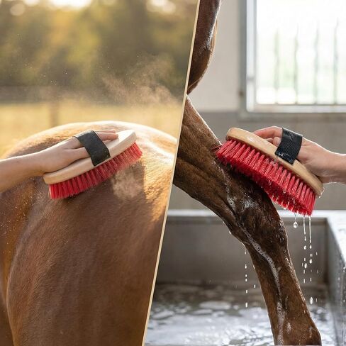 Horse Brushes for Grooming, Handheld Oval Scrub Brush with Adjustable Strap, Red Bristles for Barn and Stable Cleaning, 1 Pack in Kuwait