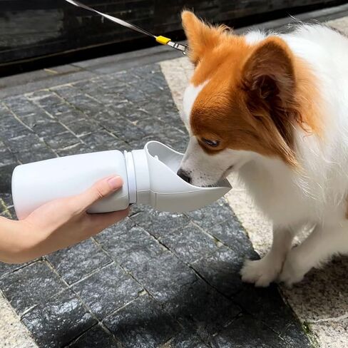 18.6 oz Pet Cat Dog Water Bottle Portable Soft Silicone Leak Proof Foldable, Easy to Clean Dog Drinking Dispenser,Grey in Kuwait