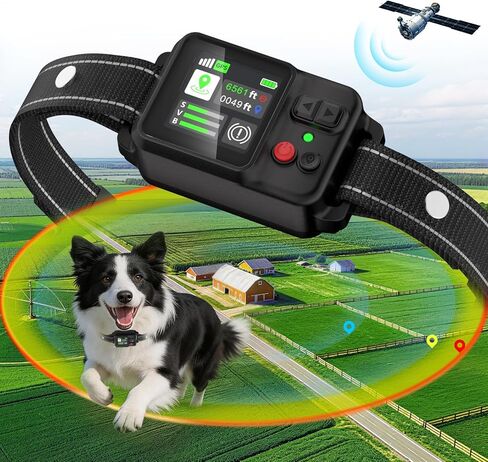 نظام سياج الكلب اللاسلكي GPS، سياج الكلب غير المرئي مع طوق GPS، نطاق 49-6561FT، أطواق IP67 مقاومة للماء قابلة لإعادة الشحن، سياج كهربائي للكلاب الكبيرة المتوسطة والصغيرة، للاستخدام في الهواء الطلق in Kuwait