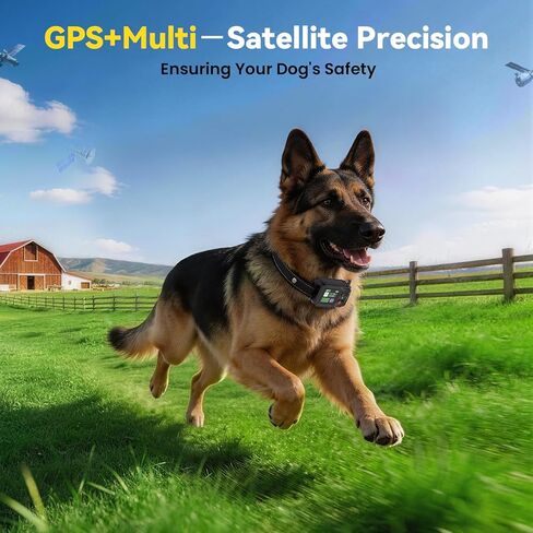 نظام سياج الكلب اللاسلكي GPS، سياج الكلب غير المرئي مع طوق GPS، نطاق 49-6561FT، أطواق IP67 مقاومة للماء قابلة لإعادة الشحن، سياج كهربائي للكلاب الكبيرة المتوسطة والصغيرة، للاستخدام في الهواء الطلق in Kuwait