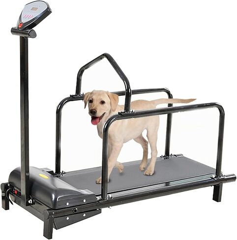 Premium Dog Treadmill for Large & Medium Dogs, Indoor & Outdoor Pet Training Equipment, Supports Up to 176lbs, Ideal for Active Dogs, Durable & Adjustable Design in Kuwait