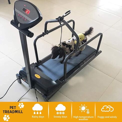 Premium Dog Treadmill for Large & Medium Dogs, Indoor & Outdoor Pet Training Equipment, Supports Up to 176lbs, Ideal for Active Dogs, Durable & Adjustable Design in Kuwait