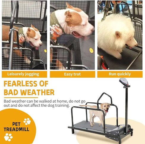 Premium Dog Treadmill for Large & Medium Dogs, Indoor & Outdoor Pet Training Equipment, Supports Up to 176lbs, Ideal for Active Dogs, Durable & Adjustable Design in Kuwait