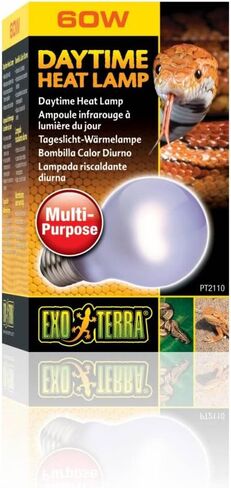 مصباح Exo Terra Sun-Glo Neodymium A19 [مجموعة من 2] وات: 60 وات in Kuwait