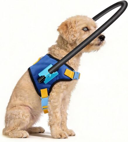 Protective Blind Dog Halo Harness,Anti-Collision Halo Collar for Blind Dogs, Adjustable Guiding Harness for Blind Pets, Confidence Building Walking Aid, Lightweight (XS for 17.72-21.65 in) in Kuwait