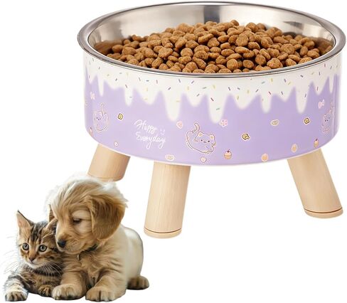 Raised Cat Food Bowls,Elevated Kitten Bowls for Indoor Cats Ergonomic Cat Food Water Bowls Purple in Kuwait
