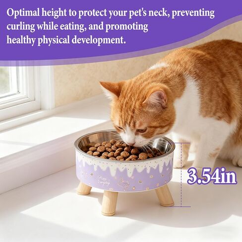 Raised Cat Food Bowls,Elevated Kitten Bowls for Indoor Cats Ergonomic Cat Food Water Bowls Purple in Kuwait