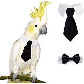 2 Pcs Bird Collar, Cute Pet Parrot Collar, Pet Birds Costume, Costume Photo Prop for Parrots for Budgerigars, Lovebirds, Long-Tailed Parrots, Cockatoos, Rainbow Lorikeets, and Finches.(Necktie+Bowtie) in Saudi Arabia