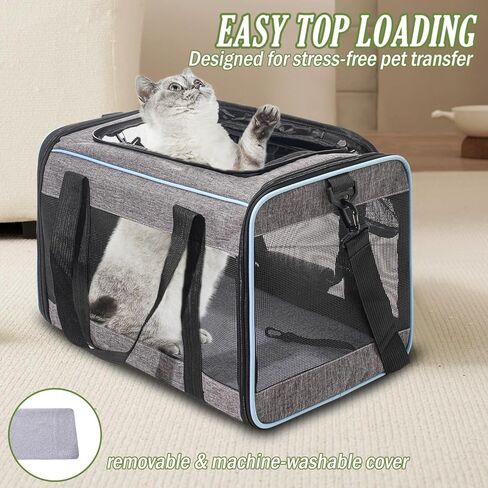 حاملة حيوانات أليفة ناعمة الجوانب معتمدة من شركة Vivicreate Cat Carrier للقطط والكلاب الصغيرة، حقيبة سفر محمولة للقطط مع مقود أمان شبكي للتهوية وحزام كتف يصل إلى 15 رطلاً in Kuwait
