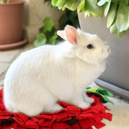 NINEFOX Snuffle Mat للكلاب، حصائر تغذية الحيوانات الأليفة، وسادة استنشاق الجراء، حصيرة Snuffle على شكل فراولة، ألعاب تفاعلية للقطط والكلاب لتدريب السلالات المتعددة والتخلص من التوتر (الفراولة) in Kuwait