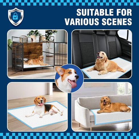 VJJ Puppy Pads XL 30"x35", 50 Count Pee Pads for Dogs Large for Doggie&Cats, Disposable Dog Pee Pads Extra Large, X-Large Potty Pads for Indoor, Outdoor Use in Kuwait