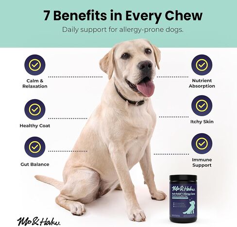 Mo & Haku Dog Allergy Relief Chews - 180 Soft Chews Immune Itch Support for Dogs Itchy Skin, Ears, Paw Licking, Seasonal Allergies - with Prebiotics & Probiotics, Colostrum & Salmon Oil in Kuwait