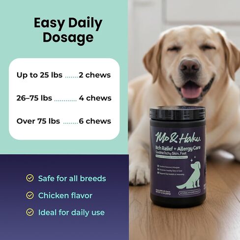 Mo & Haku Dog Allergy Relief Chews - 180 Soft Chews Immune Itch Support for Dogs Itchy Skin, Ears, Paw Licking, Seasonal Allergies - with Prebiotics & Probiotics, Colostrum & Salmon Oil in Kuwait
