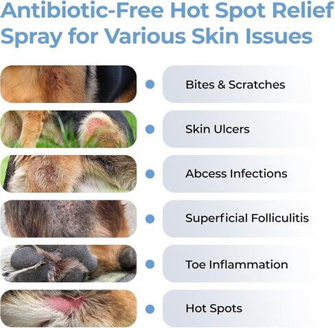 Hot Spot Spray for Dogs Healing Aid for Skin Sores, Irritations & Redness | Anti-Itch Relief to Stop Chewing & Licking | Safe, Non-Toxic HOCl Formula for All Animals | 3.38 fl oz in Kuwait
