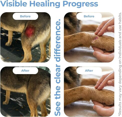 Hot Spot Spray for Dogs Healing Aid for Skin Sores, Irritations & Redness | Anti-Itch Relief to Stop Chewing & Licking | Safe, Non-Toxic HOCl Formula for All Animals | 3.38 fl oz in Kuwait