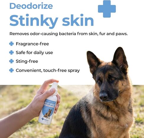 Hot Spot Spray for Dogs Healing Aid for Skin Sores, Irritations & Redness | Anti-Itch Relief to Stop Chewing & Licking | Safe, Non-Toxic HOCl Formula for All Animals | 3.38 fl oz in Kuwait