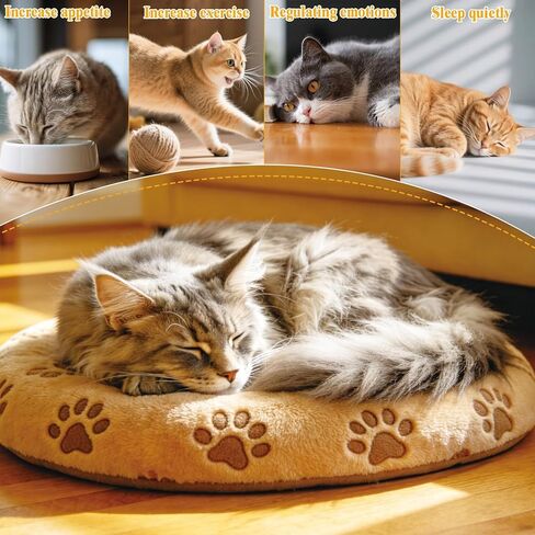 Natural Loofah Cat Chew Toys with Catnip, Biodegradable Dental & Teething Toys for Kittens and Cats, Eco-Friendly Interactive Cat Toy for Boredom Relief and Teeth Cleaning in Kuwait