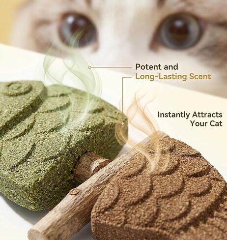 3PCS Fish Bone Cat Toy Set for Cats, Catnip Toys, Dental Chew & Teething Toys for Kitten, Fish & Bone Shape, Ideal for Teeth Cleaning & Boredom Relief in Kuwait