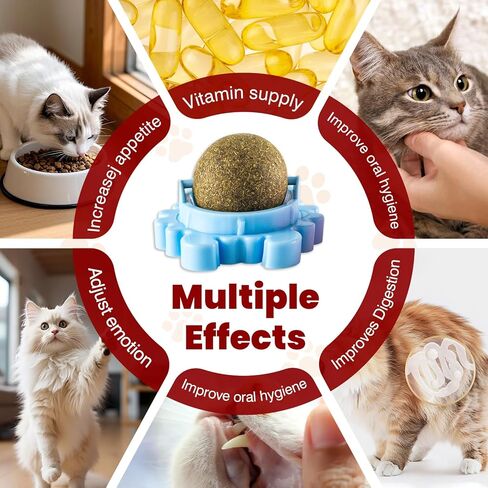 Catnip Balls Cat 4 Pack 360° Rotatable Catnip Wall Ball Cat Nips Interactive Toys Play Chew Teeth Cleaning for Indoor in Kuwait