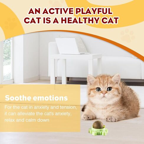 Catnip Balls Cat 4 Pack 360° Rotatable Catnip Wall Ball Cat Nips Interactive Toys Play Chew Teeth Cleaning for Indoor in Kuwait