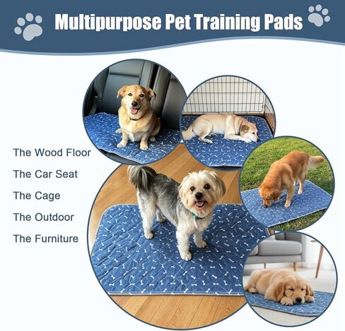 Puppy Pee Pads with Pheromones,Forever Pad,Washable Pee Pads for Dogs,Reusable Dog Pee Pads,Waterproof Leakproof Training Pad, Non-Slip Base for Household Use(Gray A,L) in Kuwait